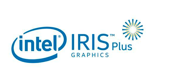 来自英特尔Iris Xe图形处理器的新信息