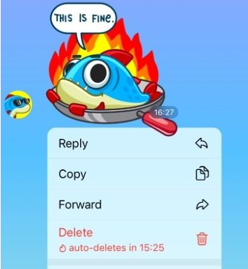 Telegram中已包含“自动删除邮件”功能