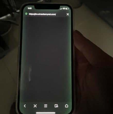 iPhone12绿屏怎么办 