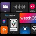 watchOS 7宣布睡眠跟踪 锻炼中的新舞蹈类型 以及更多功能