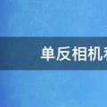 单反相机和数码相机的区别