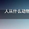 人从什么动物身上得到启示发明了什么