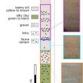 科学新闻：大约在41000年前上古旧石器时代的最初技术到达了华北