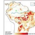 科学新闻：科学家解释了亚马逊森林如何陷于恶性循环