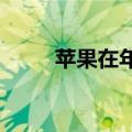 苹果在年度开发者大会上强调隐私