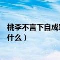 桃李不言下自成蹊的意思视频（桃李不言下自成蹊的意思是什么）