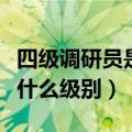 四级调研员是什么级别的职务（四级调研员是什么级别）