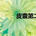 皮囊第二季大结局（皮囊第二季）