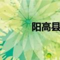 阳高县领导班子名单（阳高县）