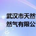 武汉市天然气有限公司2021招聘（武汉市天然气有限公司）