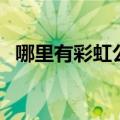 哪里有彩虹公路案例（哪里有彩虹告诉我）