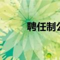 聘任制公务员招聘公告（聘任制）