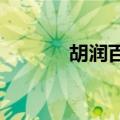 胡润百富榜2019（胡润百富）