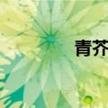 青芥辣怎么调汁（青芥辣）