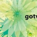 gotv加载不出来（GOTV）