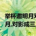 举杯邀明月对影成三人是什么意思（举杯邀明月,对影成三人）