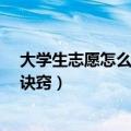 大学生志愿怎么填写（如何填写大学志愿表 96个志愿填报诀窍）