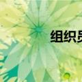 组织员是什么级别（组织员）