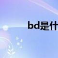 bd是什么职位（bd是什么职位）