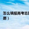 怎么填报高考志愿流程（最全高考志愿填报流程 如何填报志愿）