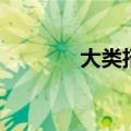 大类招生一览表（大类招生）