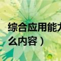 综合应用能力考什么安徽（综合应用能力考什么内容）