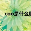 coo是什么职位的缩写（coo是什么职位）