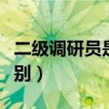 二级调研员是什么职级（二级调研员是什么级别）