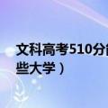 文科高考510分能上什么大学（高考文理科510分可以读哪些大学）