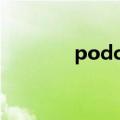 podcasts翻译（Podcasts）