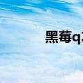 黑莓q20安装微信（黑莓Q20）