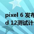 pixel 6 发布（Pixel六月更新推送中 Android 12测试计划圆满落幕）