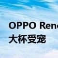 OPPO Reno8系列咋样最新调查结果出炉 超大杯受宠