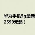 华为手机5g最新款（华为上架官翻二手机 麒麟5G芯片 售价2599元起）