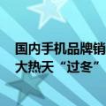 国内手机品牌销量排行榜2021年（哀鸿遍野 国内手机厂商大热天“过冬”：前五月销量暴跌20%）