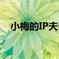 小梅的IP夫妻店是Tik  Tok的生意私房钱