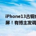 iPhone13古铜色（iPhone14 Pro古铜配色曝光 配感叹号屏！有博主发调侃图：8千块买吗）