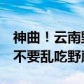 神曲！云南野生菌版勇者来了网友直言魔瘾：不要乱吃野蘑菇