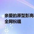 亲爱的原型彭高峰的儿子高考632分：远超本科分数线送上全网祝福