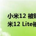 小米12 被曝（小米12家族一款直屏手机 小米12 Lite被提前激活）