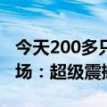 今天200多只海豚在温州水域嬉戏！网友晒现场：超级震撼