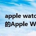 apple watch 46mm（今日最新更新 47mm的Apple Watch要来了）