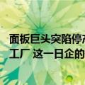 面板巨头突陷停产危机（今日最新更新 价格高涨时收购面板工厂 这一日企的举动“令人费解”）