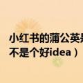 小红书的蒲公英是啥（今日最新更新 小红书“蒲公英C位” 不是个好idea）