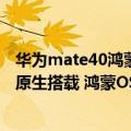 华为mate40鸿蒙正式版壁纸（今日最新更新 华为Mate 50原生搭载 鸿蒙OS 3.0壁纸公布）