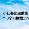 小红书爬虫采集（今日最新更新 小红书“恶意爬虫专项治理”3个月拦截159.6亿次）