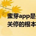 蜜芽app是干嘛的（今日最新更新 蜜芽app关停的根本原因）