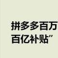 拼多多百万亿补贴（今日最新更新 拼多多“百亿补贴”UP主）