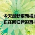 今天最新更新被虚假的DMCA版权警告冻结两年后Lofi  Girl正在回归管道直播