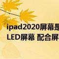 ipad2020屏幕是oled吗（今日最新更新 11寸iPad将升级OLED屏幕 配合屏下人脸识别）